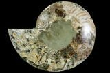 Agatized Ammonite Fossil (Half) - Crystal Chambers #111545-1
